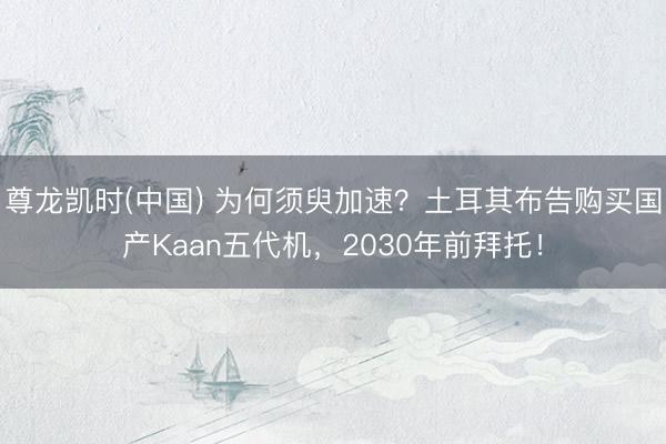 尊龙凯时(中国) 为何须臾加速？土耳其布告购买国产Kaan五代机，2030年前拜托！