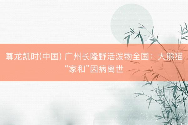 尊龙凯时(中国) 广州长隆野活泼物全国：大熊猫“家和”因病离世