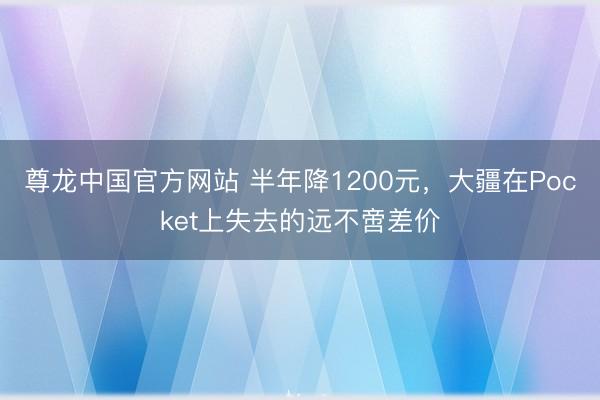 尊龙中国官方网站 半年降1200元，大疆在Pocket上失去的远不啻差价