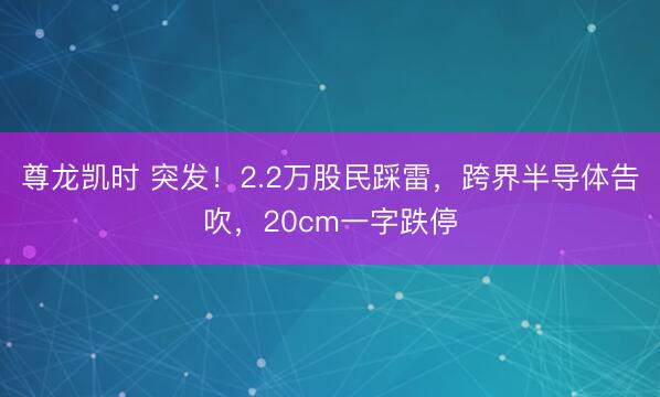 尊龙凯时 突发!2.2万股民踩雷,跨界半导体告吹,20cm一字跌停