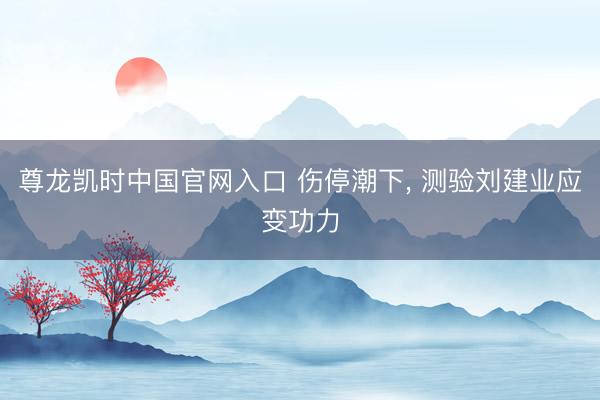 尊龙凯时中国官网入口 伤停潮下, 测验刘建业应变功力