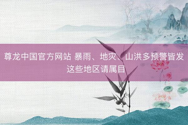 尊龙中国官方网站 暴雨、地灾、山洪多预警皆发 这些地区请属目