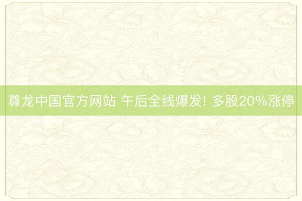 尊龙中国官方网站 午后全线爆发! 多股20%涨停