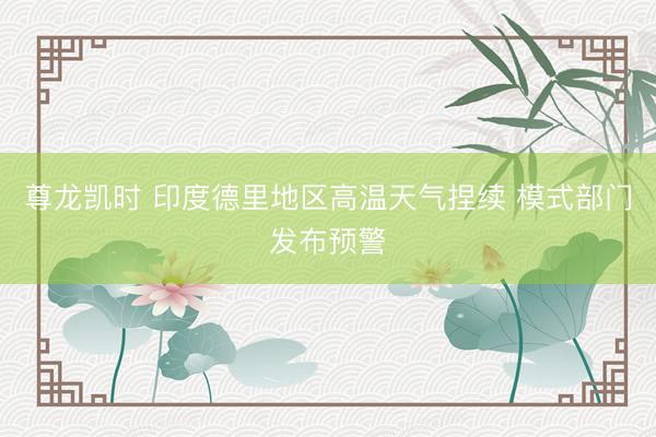 尊龙凯时 印度德里地区高温天气捏续 模式部门发布预警