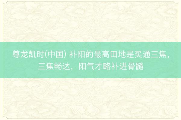 尊龙凯时(中国) 补阳的最高田地是买通三焦，三焦畅达，阳气才略补进骨髓