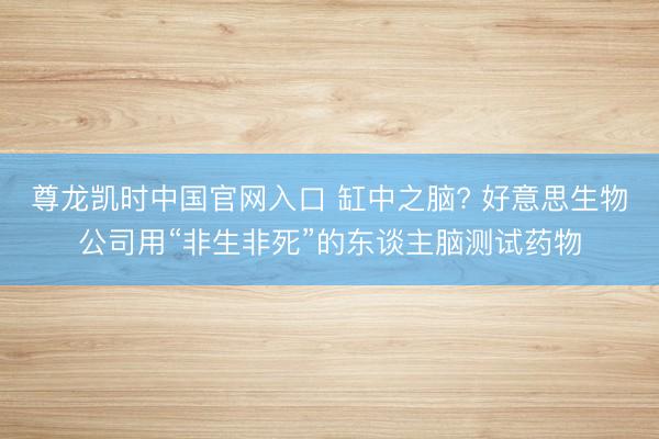 尊龙凯时中国官网入口 缸中之脑? 好意思生物公司用“非生非死”的东谈主脑测试药物