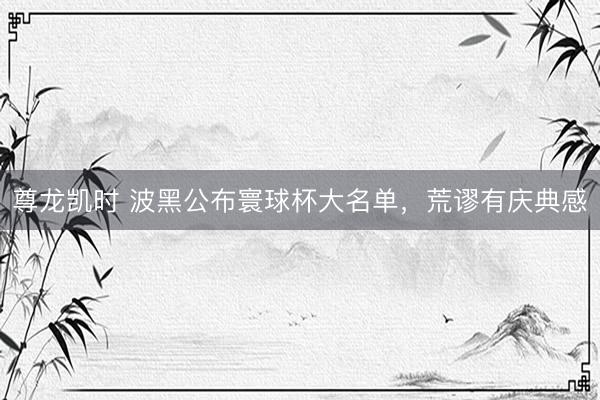 尊龙凯时 波黑公布寰球杯大名单，荒谬有庆典感