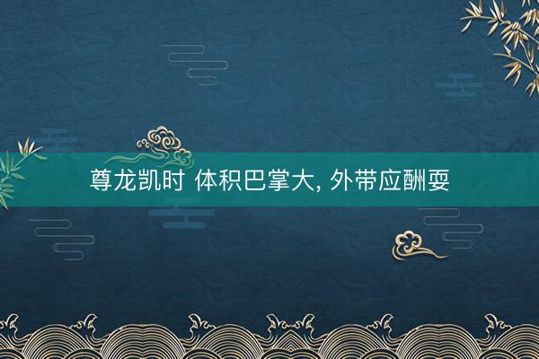 尊龙凯时 体积巴掌大， 外带应酬耍