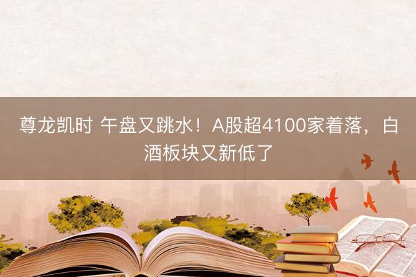 尊龙凯时 午盘又跳水！A股超4100家着落，白酒板块又新低了