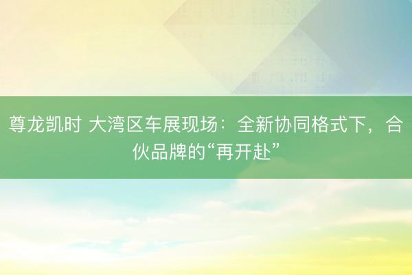 尊龙凯时 大湾区车展现场：全新协同格式下，合伙品牌的“再开赴”