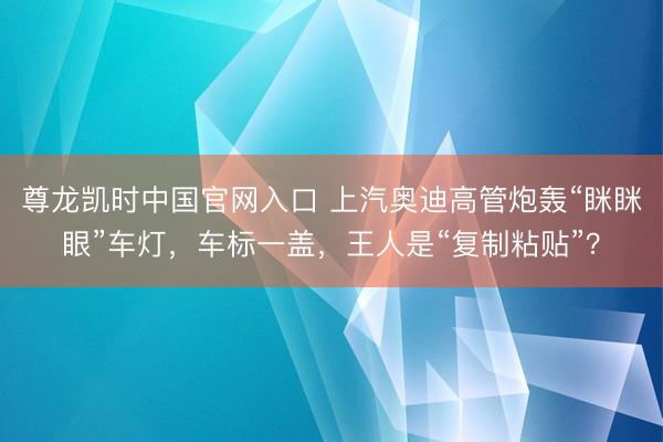 尊龙凯时中国官网入口 上汽奥迪高管炮轰“眯眯眼”车灯，车标一盖，王人是“复制粘贴”？