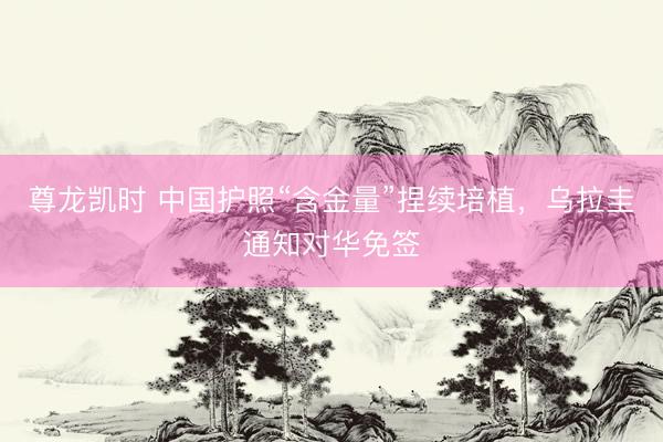 尊龙凯时 中国护照“含金量”捏续培植，乌拉圭通知对华免签