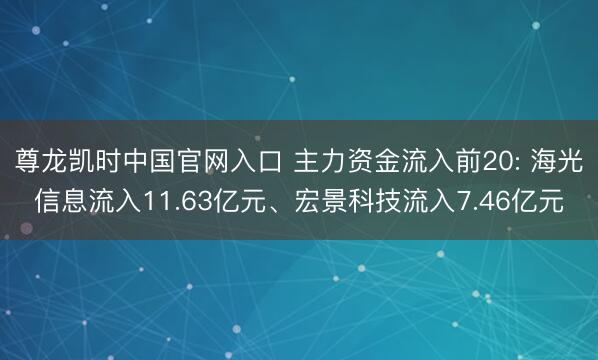 尊龙凯时中国官网入口 主力资金流入前20: 海光信息流入11.63亿元、宏景科技流入7.46亿元