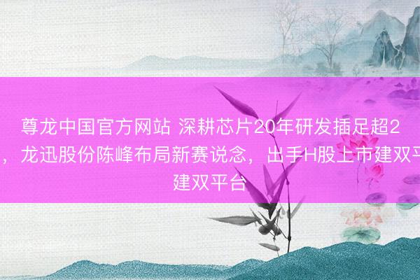 尊龙中国官方网站 深耕芯片20年研发插足超20%,龙迅股份陈峰布局新赛说念,出手H股上市建双平台