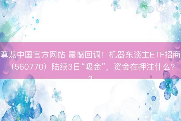 尊龙中国官方网站 震憾回调！机器东谈主ETF招商（560770）陆续3日“吸金”，资金在押注什么？