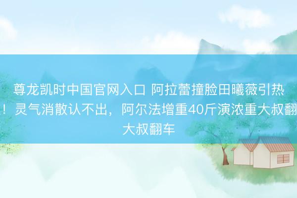 尊龙凯时中国官网入口 阿拉蕾撞脸田曦薇引热议！灵气消散认不出，阿尔法增重40斤演浓重大叔翻车
