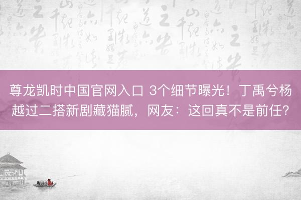 尊龙凯时中国官网入口 3个细节曝光！丁禹兮杨越过二搭新剧藏猫腻，网友：这回真不是前任？