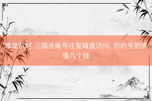 尊龙凯时 三国杀账号往复暗盘访问， 你的号到底值几个钱