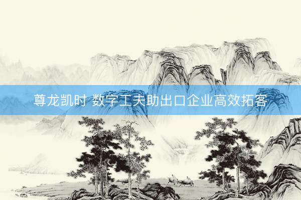 尊龙凯时 数字工夫助出口企业高效拓客