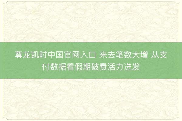 尊龙凯时中国官网入口 来去笔数大增 从支付数据看假期破费活力迸发