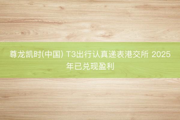 尊龙凯时(中国) T3出行认真递表港交所 2025年已兑现盈利