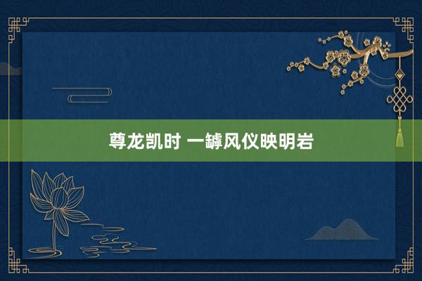 尊龙凯时 一罅风仪映明岩