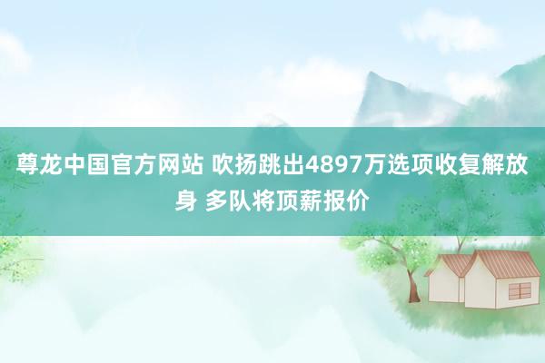 尊龙中国官方网站 吹扬跳出4897万选项收复解放身 多队将顶薪报价