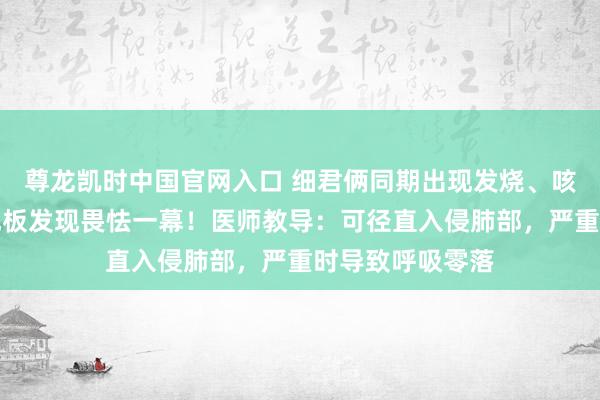尊龙凯时中国官网入口 细君俩同期出现发烧、咳嗽,撬开家里地板发现畏怯一幕!医师教导:可径直入侵肺部,严重时导致呼吸零落