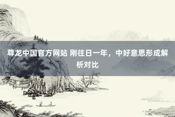 尊龙中国官方网站 刚往日一年,中好意思形成解析对比