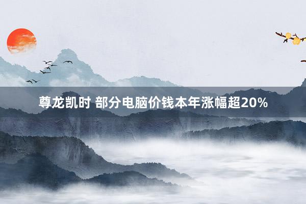 尊龙凯时 部分电脑价钱本年涨幅超20%